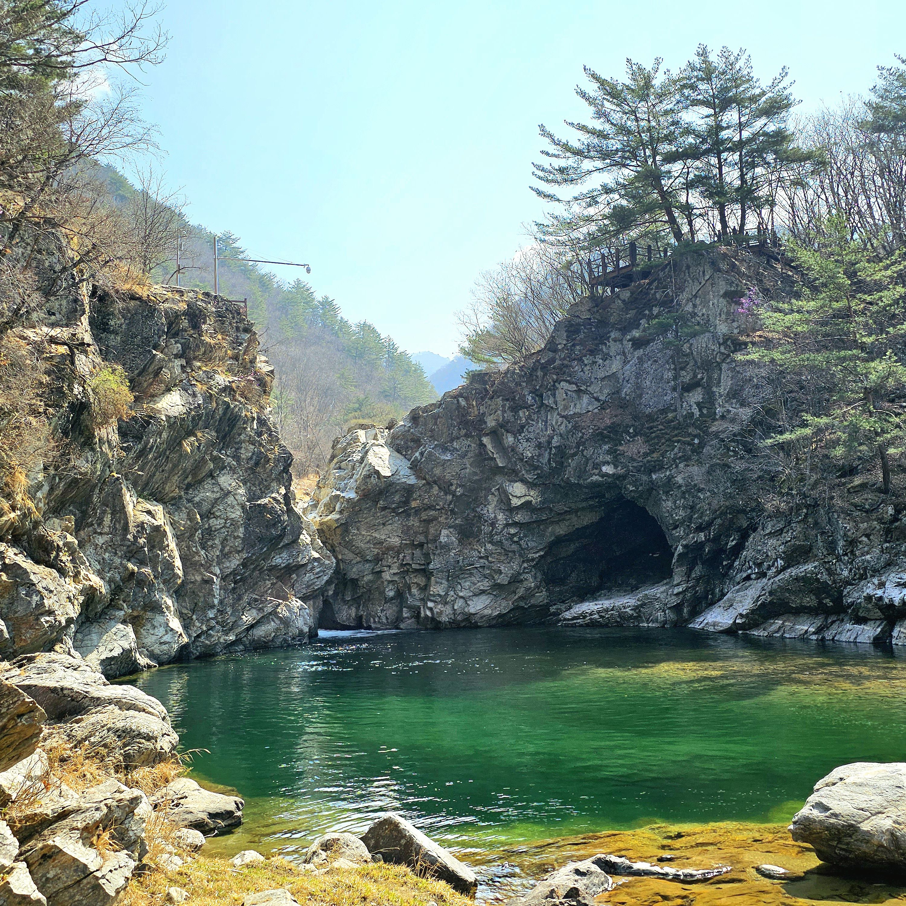 DMZ 사진